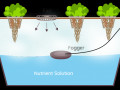 Fogponics